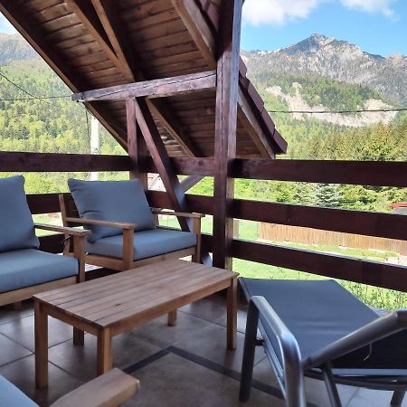 Poiana Dintre Brazi Chalet, Bucegi Panorama Sinaia Exterior foto