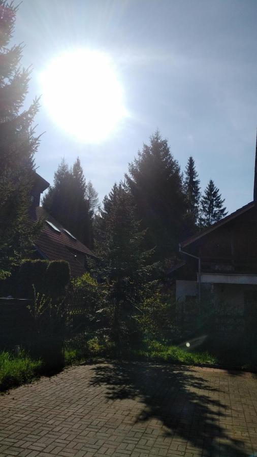 Poiana Dintre Brazi Chalet, Bucegi Panorama Sinaia Exterior foto