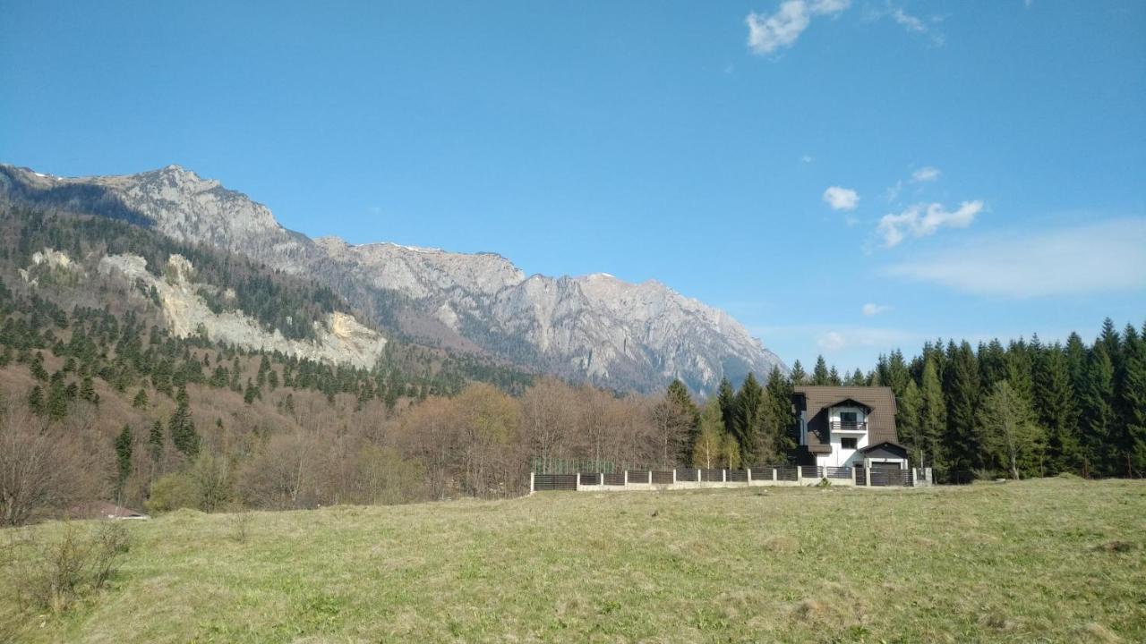 Poiana Dintre Brazi Chalet, Bucegi Panorama Sinaia Exterior foto