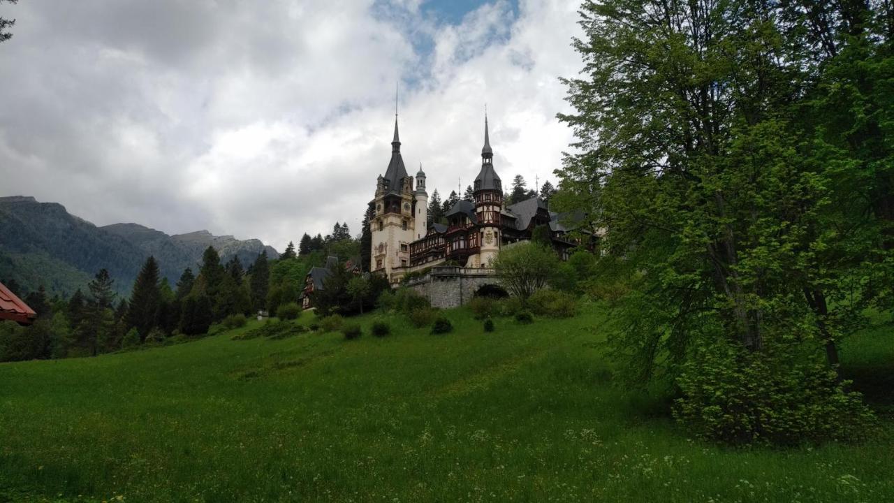 Poiana Dintre Brazi Chalet, Bucegi Panorama Sinaia Exterior foto