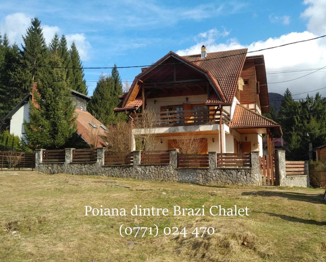 Poiana Dintre Brazi Chalet, Bucegi Panorama Sinaia Exterior foto